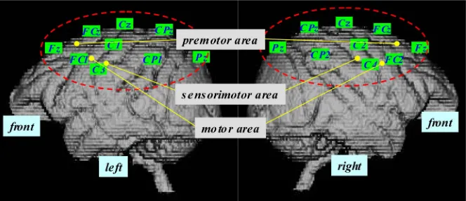 Figure 2. Location of the EEG electrodes in cerebrum. 