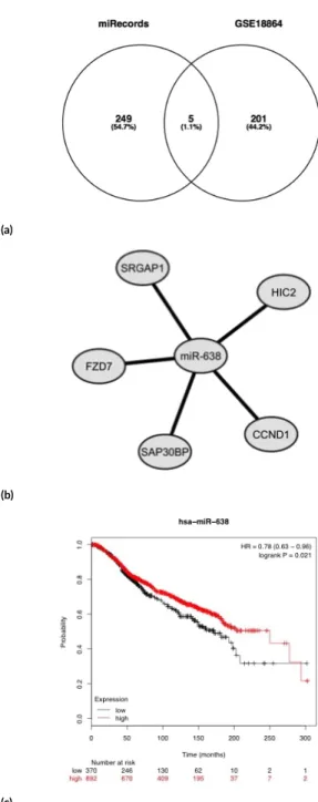 FIGURE 1 (a) Venn diagram of miR‐638 target genes analyzed by miRecords and GSE18864; (b) miRNA 638‐target gene regulatory network in cisplatin‐resistant triple negative breast cancer, con‐