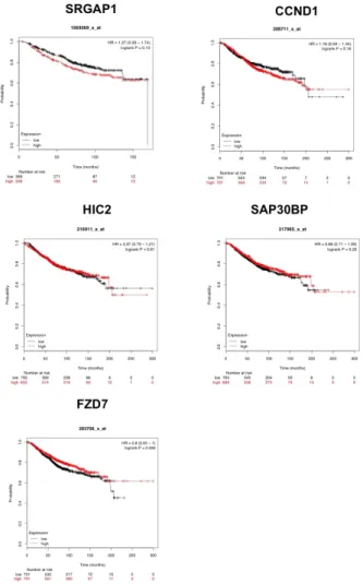 FIGURE 4 Expression of HIC2, CCND1, SAP30BP, and FZD7 across cisplatin‐resistant breast cancer samples, analyzed by ONCOMINE.
