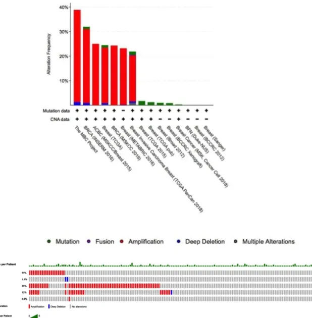 FIGURE 5 Summary of alterations for hub genes in breast cancer patients (a) Based on breast cancer study; (b) Genetic alterations of SRGAP1, HIC2, CCND1, SAP30BP, and FZD7 based on a study by Lefebvre et al