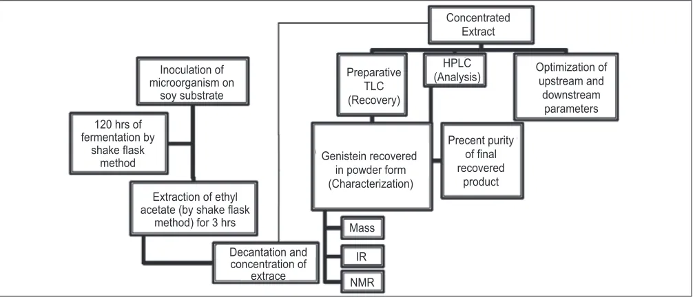 Fig. 2: Scheme of fermentation, extraction, purification analysis and recovery of genistein.