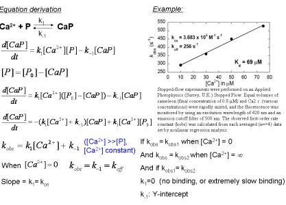 Figure 2.15 Model I proposed that protein and calcium interaction directly  induced fluorescent intensity change and equation derivation