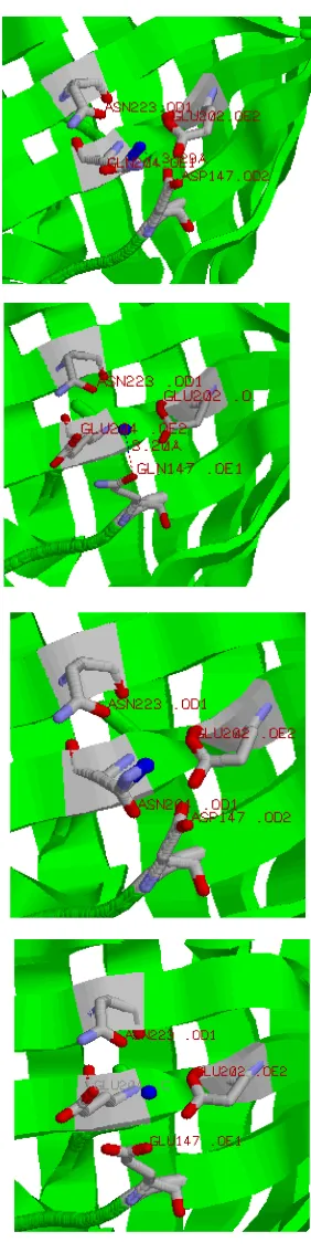Fig 6. E202, E204, E223, 
