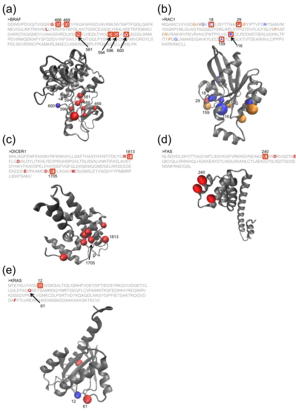 Figure 3.  Examples of the significant genes identified by the 3D permutation. Primary structure, 3D  structure, and mutations are shown