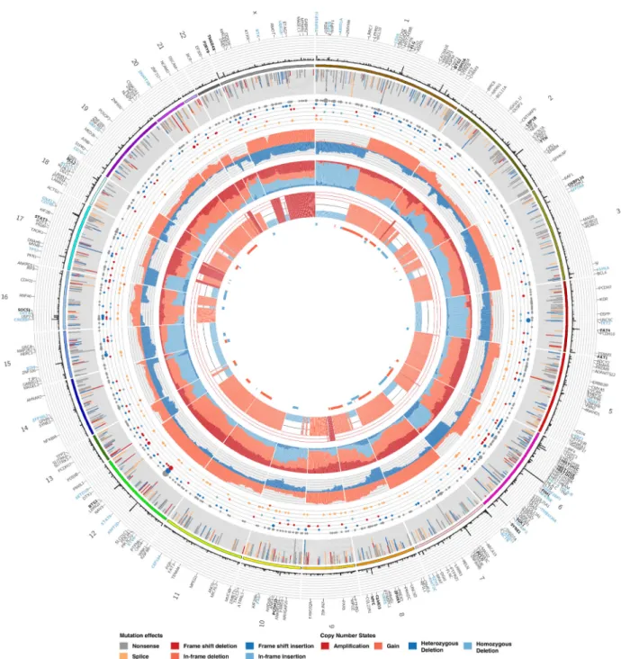 Figure 6: Visualization and data integration with Oncocircos . The new Oncocircos tool allows visualization of segment data derived from the Titan and Sequenza -based workflows we implemented