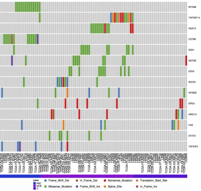 Figure 7: Discerning mutation patterns and identifying subtype-associated genes. DLBCL cases were assigned to either the ABC or GCB molecular subgroups using the presence of mutations known to be significantly restricted to either