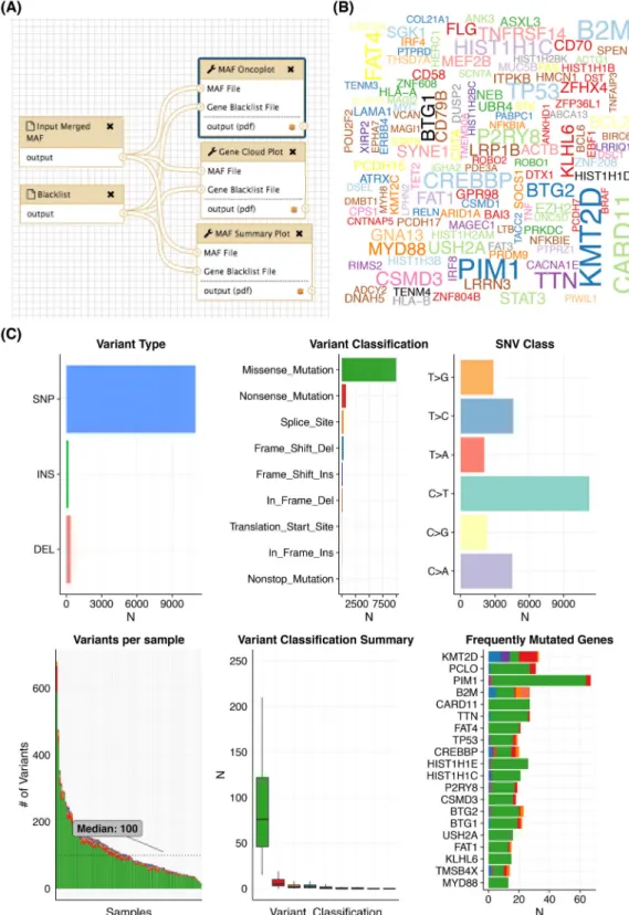 Figure 3: Producing cohort-wide summaries and visualizations. Following primary mutation detection across a large cohort and annotation (i.e., with VEP using vcf2maf ), it is useful to produce various summaries of the overall mutation burden and the types 