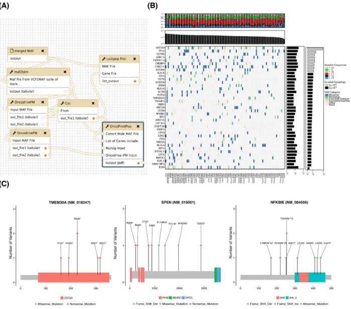 Figure 4: Significance analysis for mutation recurrence. (A) Tools have been implemented to screen mutation data for patterns of recurrence and identify significantly mutated genes