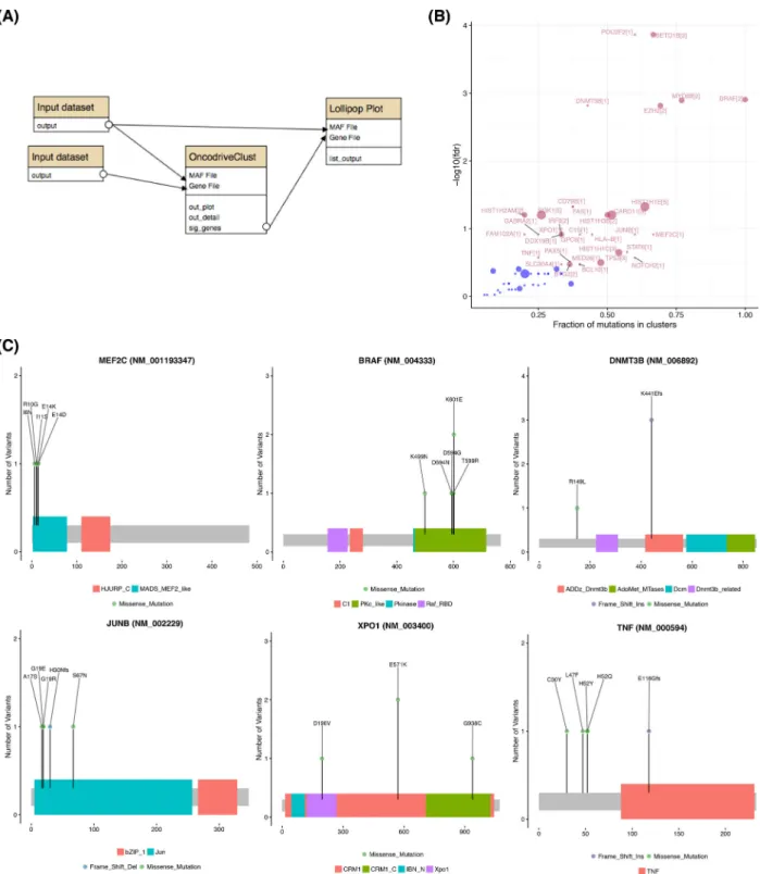 Figure 5: Identifying genes containing clustered mutations and hot spots. With sufficiently large cohorts, the pattern of nonsilent mutations within the protein can inform on genes under specific selective pressure
