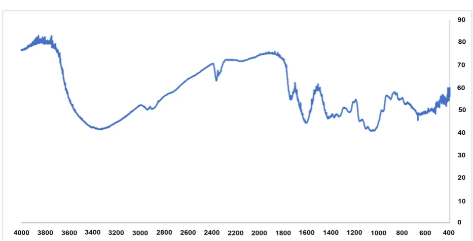 Figure 1. Infrared spectrum for the SS. 