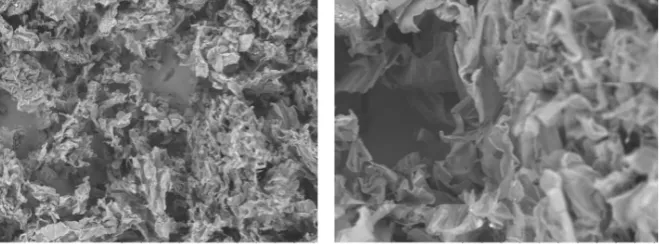 Figure 2. SEM microphotographs sunflower stem. 