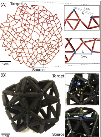Figure 2.6: (A) Physical realization of the network in Fig. 2.1(A). The zoomed-inphotographs show the initial and ﬁnal distance between the pair of source nodes, lSand lS + eS, respectively, and between the pair of target nodes, lT and lT + eT