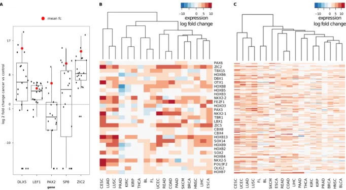 Figure 5.  Expression of FBS genes. (A) Combined scatter and boxplots of expression differences in qPCR  experiments for DLX5, LEF1, PAX2, SP8 and ZIC2 genes for 20 HCC cancer samples against normal liver tissue