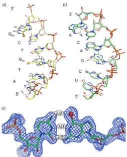 Figure 1.7 The superimposed global and local structures of 6-Se-G containing DNA/RNA duplexes of the  nucleic acid–protein complex