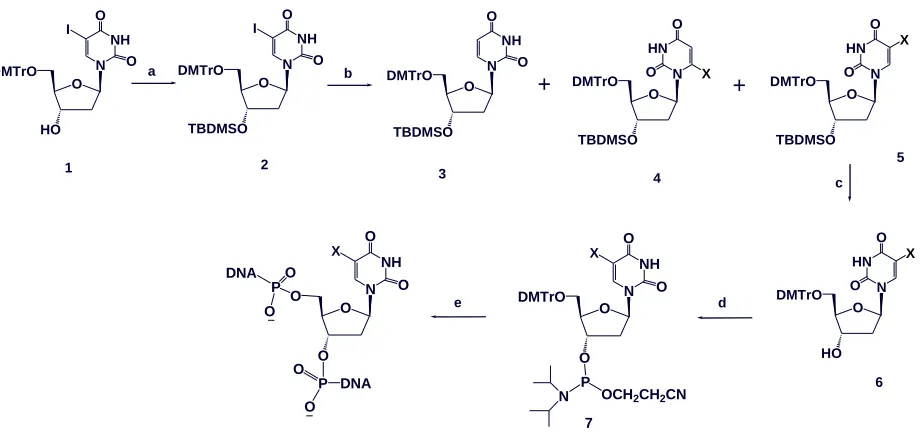 Table 2.1 Transient N3 protection and lithium/halogen exchange of 2 in the presence of dimethyldiselenide.a 