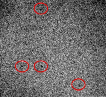 Figure 1.2 The TEM image of tiopronin MPCs (3X). The black dots circled by red line in the graph are the 