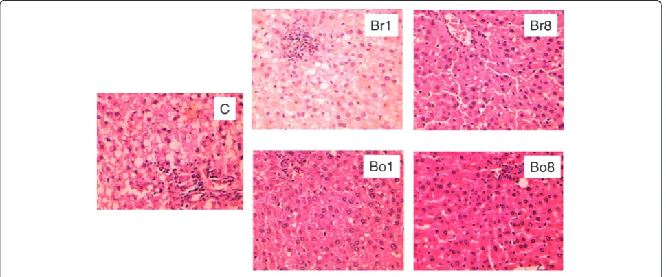 Table 3 Effects of eating methods on the fecal parameters of Sprague–Dawley rats fed with a hypercholesterolemic diet1