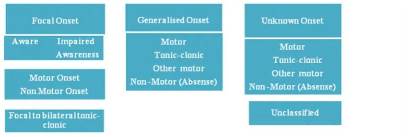 Figure 1 classification of epilepsy