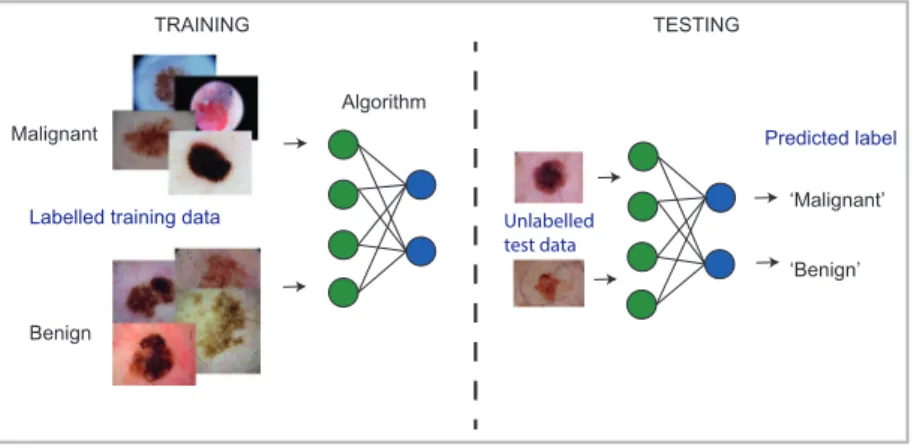 Figure 1 Schematic depicting how a machine learning algorithm trains on a large dataset to be able to match data to label (supervised learning), the performance of which can then be assessed.