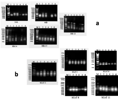 Fig. 1: Photos of the three apple and three pear cultivars’ trees 