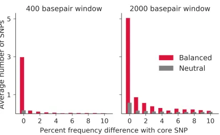Figure 2.3: Simulations demonstrate the build-up of alleles at frequencies similar tobalanced alleles as compared with selectively neutral counterparts