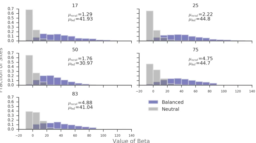 Figure 2.6: Distribution of β(1) in 1kb windows around a core SNP at diﬀerent equi-librium frequencies