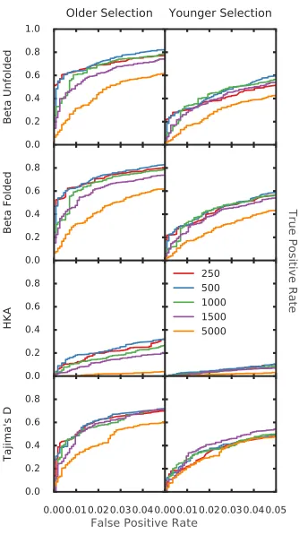 Figure 2.8: Power to detect ancient balancing selection using diﬀerent window sizes,in units of base pairs, with an equilibrium frequency of 0.5.