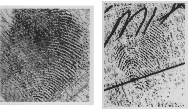 Figure 1: Some latent marks were more affected from the presence of a target 