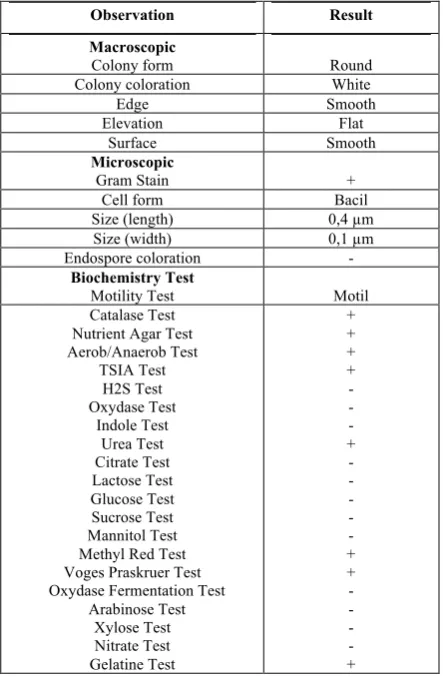 Table 1: Characteristics of Bacillus sp. UAAC 21501 producing bioplastic16 