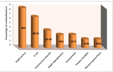 Figure 1. Percentage of isolated bacteria from semen culture of the patients.  