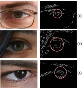 Figure 11. Identification in the presence of objects that partially or totally obstruct the iris