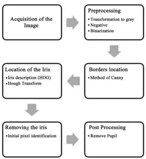 Figure 1. Phases for iris segmentation, using the Hough transform. Source: Own elaboration (2018)