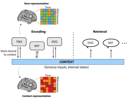 Figure 2.1. Processes of episodic memory encoding and retrieval. Episodic memory can be conceptualized as a linking of new items and the prevailing context