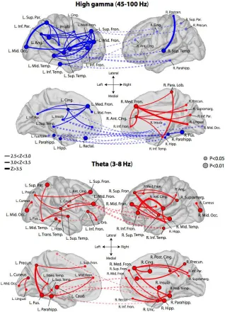 Figure 3.3 Network hubs. Depiction of hub ROIs identified in the brainwide theta and high gamma memory encoding networks