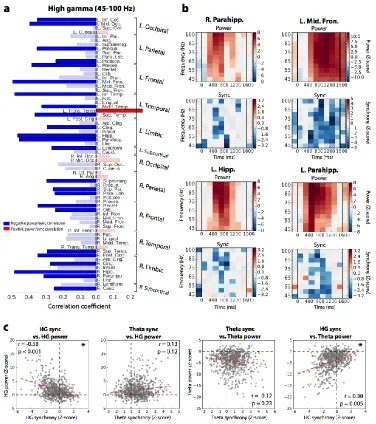 Figure 3.5. Power-synchrony correlations across the whole brain. (a) Pearson correlation of the modulation of high gamma node strength and power across time and frequency for each ROI, during the word encoding interval