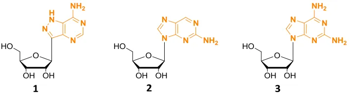 Figure 2.1 Structures of naturally occurring fluorescent nucleosides.  