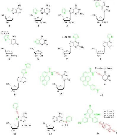 Figure 2.2 Structures of fluorescent nucleoside analogs with expanded nucleobases. 