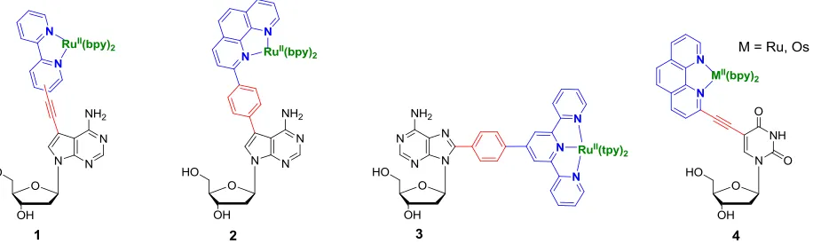 Figure 2.5 Metal containing fluorescent nucleoside analogs. 