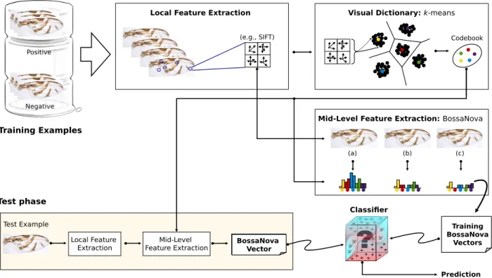 Fig. 1. The main pipeline of BossaNova. Local Feature Extraction: robust local descriptors (e.g., SIFT, SURF, BRIEF, ORB) are obtained from the detected features