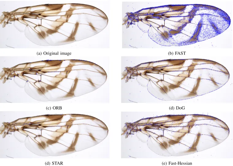 Fig. 5. Examples of keypoints detected by each feature detector for an original image from the dataset.