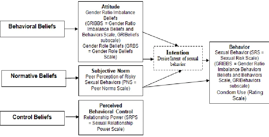 Figure 3. A Conceptual Model for the Theory of Planned Behavior and Sexual Behavior 