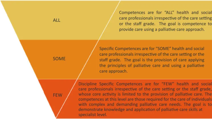 Figure 1: Competence Framework Model – adapted from Australian Model for Nursing in Cancer Control