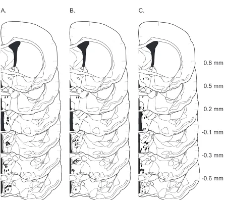 Figure   2.1   Histological   verification   of   injection   sites   Coronal   sections   through   the   rostral-­‐caudal   extent   of   the   hamster   brain   of   microinjection   sites   for   Exper-­‐iment   1   (A),   Exper