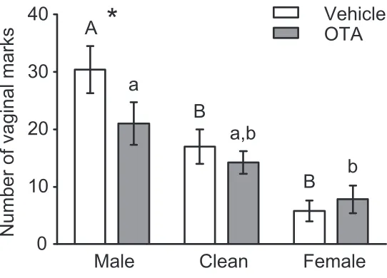 Figure   2.2   Number   of   vaginal   marks   during   scent-­‐marking   tests         OTA   injected   into   MPOA-­‐AH   decreased   vaginal   marks   to   male,   but   not   female   or   clean,   odors,   compared   to   v