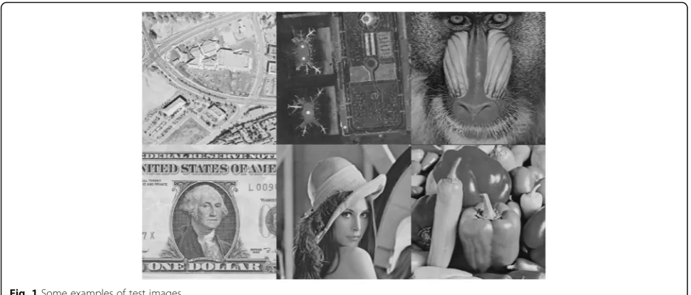Fig. 1 Some examples of test images