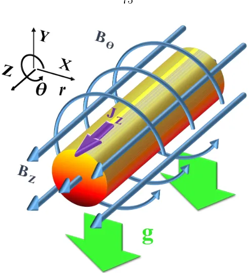 Figure 3.3: A sketch of the plasma jet before RT instability. The jet axis is the z axis andthe eﬀective gravity is in −yˆ direction (θ = 3π/2).