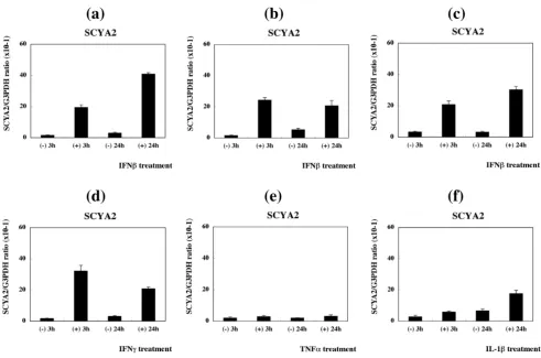 Figure 4Real-time RT-PCR analysis of SCYA2 expression in PBMCReal-time RT-PCR analysis of SCYA2 expression in PBMC