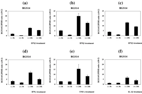 Figure 6Real-time RT-PCR analysis of RGS14 expression in PBMCReal-time RT-PCR analysis of RGS14 expression in PBMC
