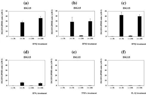 Figure 1Real-time RT-PCR analysis of ISG15 expression in PBMCReal-time RT-PCR analysis of ISG15 expression in PBMC