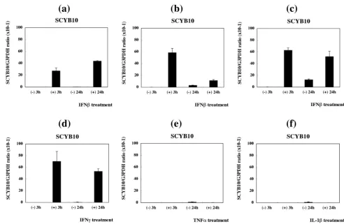 Figure 2Real-time RT-PCR analysis of SCYB10 expression in PBMCReal-time RT-PCR analysis of SCYB10 expression in PBMC
